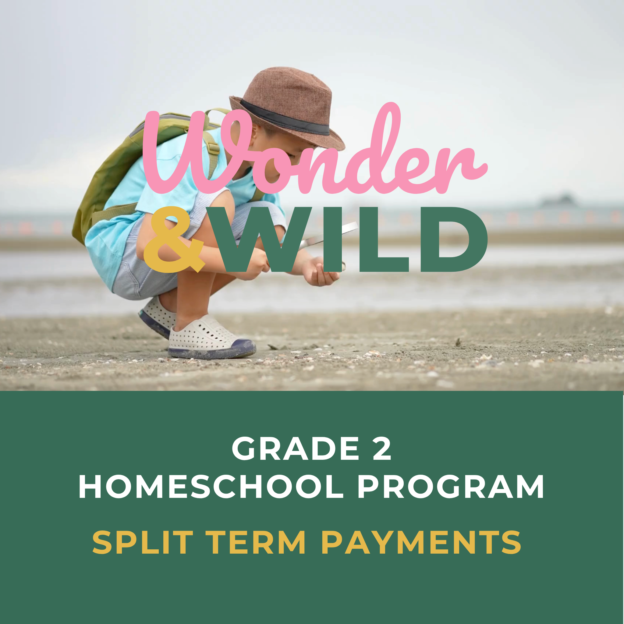 Grade 2 | Split Term Payments