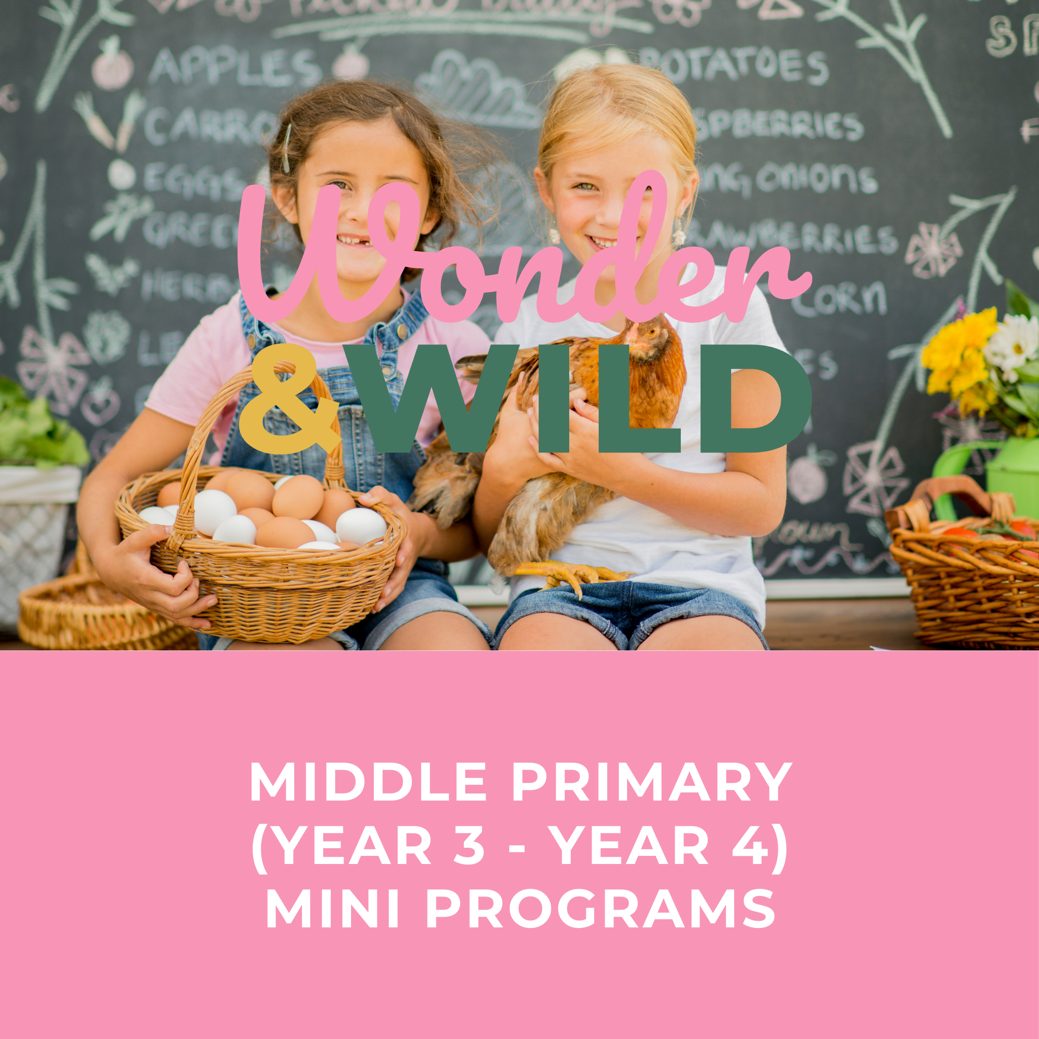 Middle Primary Mini Programs