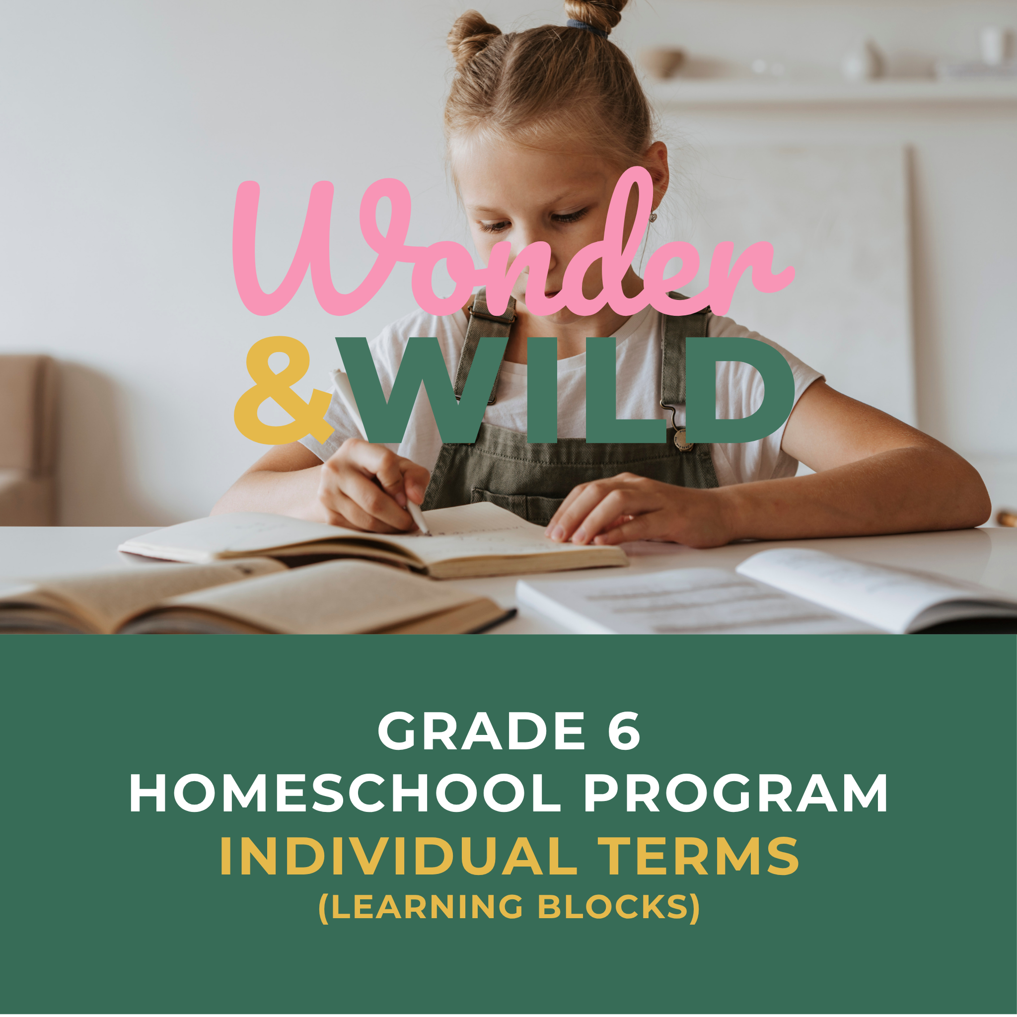 Grade 6 | Individual Terms